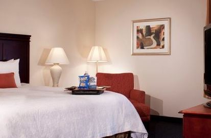 Hotel Hampton Atlanta-mall Of Georgia Buford