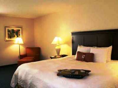 Hampton Atlanta-mall Of Georgia Hotel 3*